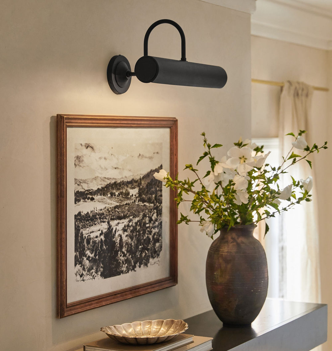 Dolly Bent Picture Light